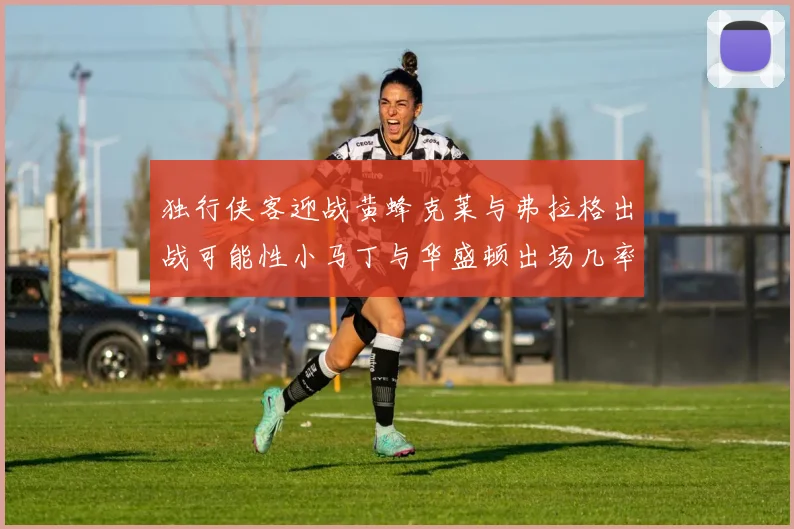 独行侠客迎战黄蜂克莱与弗拉格出战可能性小马丁与华盛顿出场几率高