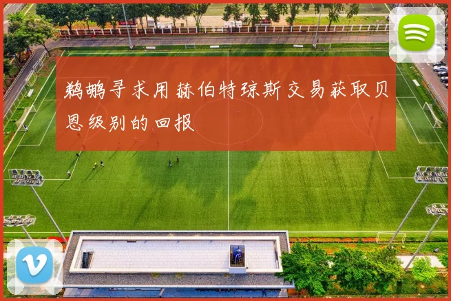鹈鹕寻求用赫伯特琼斯交易获取贝恩级别的回报